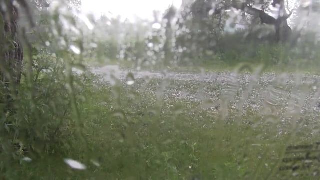 Новоберезовка (Алтынбель). Град. 9 июня 2016.