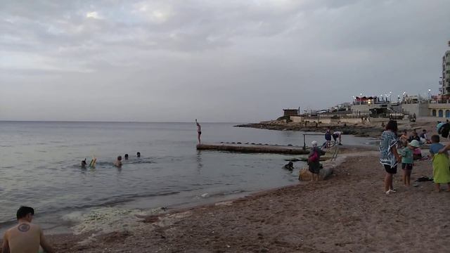 Malta-2019_Lion-cat_DIVES. смотреть онлайн