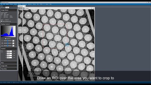 Duplicate and Crop Images in DigitalMicrograph смотреть онлайн