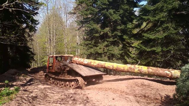 Трелёвочный трактор. Недалеко от села Хамышки в республике Адыгея. 29.04.18 смотреть онлайн