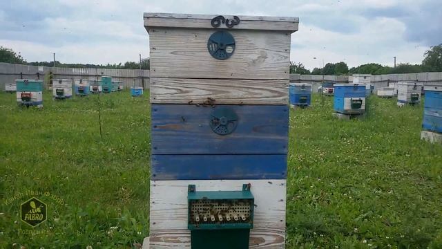 Покраска ульев перед провариванием в парафине смотреть онлайн