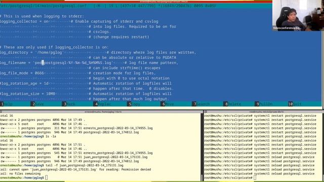 postgresql.conf 1: Parámetros Básicos смотреть онлайн