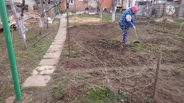 Попой к верху//работа в огороде смотреть онлайн