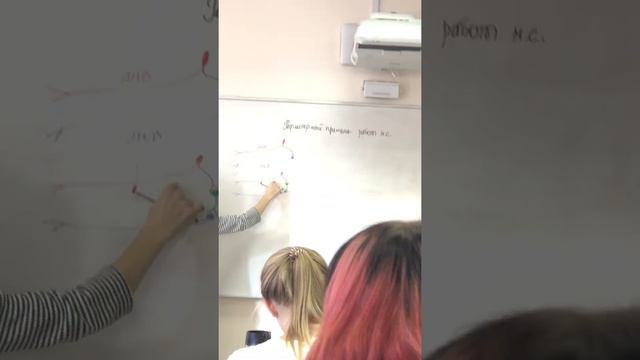 Парасимпатическая и симпатическая нс смотреть онлайн