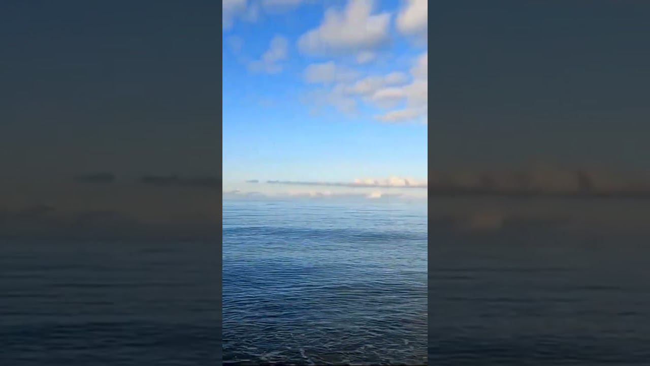 22.03.23 г. В Сочи вернулась весна и вышло солнце.Хотя со стороны Туапсе еще тучи. #shorts #сочи смотреть онлайн