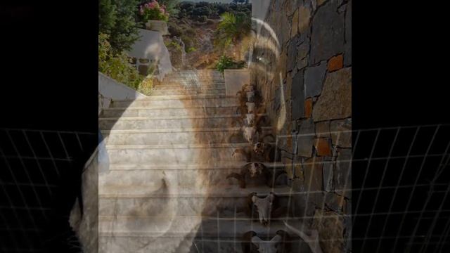 Осёл или лошадь смотреть онлайн