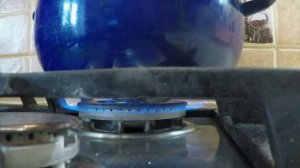 Как топить медвежий жир