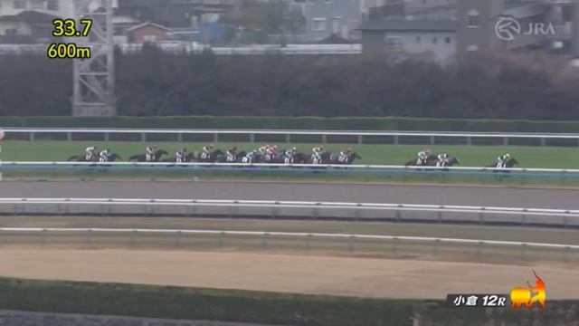 Oxlip (JPN) wins race 12 at Kokura 01/20/2024