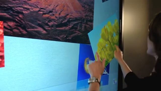 Newline Interactive   TruTouch 650 Multi Touch Display