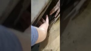 Как открыть капот хендай H1 ,если забыли соединить тросс