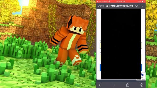 Minecraft Free 24/7 Free Server Hosting No Lag!!! JAVA/BEDROCK смотреть онлайн