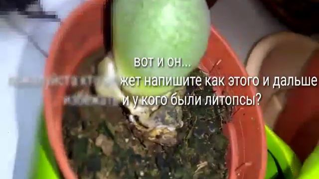 Помогите мне пожалуйста смотреть онлайн