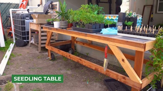 One Year Garden and Homestead Update! смотреть онлайн