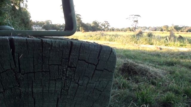 Sony HDR 150E смотреть онлайн