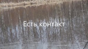 Весенняя охота и рыбалка на озере. Добыча утки, ставлю ветеля!