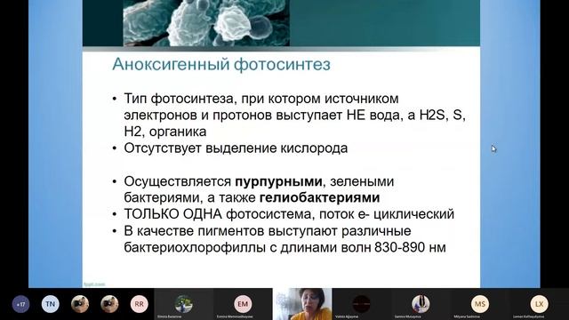 Biologiya sertifikasiya hazırlığı-1. Şəhla Mehdiyeva смотреть онлайн