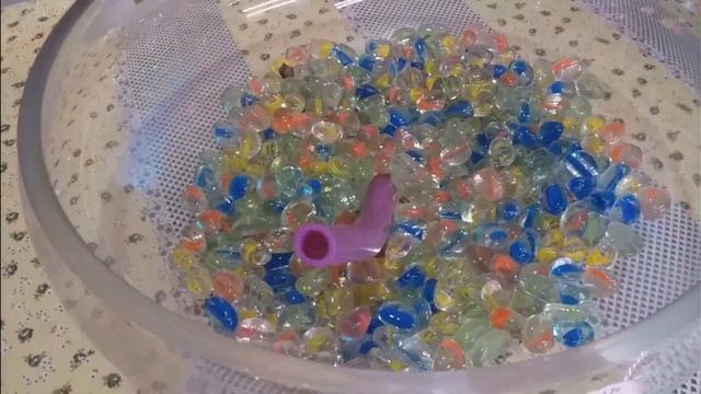 Первый полив моей групповой посадки в закрытой системе. Жизнь автора.