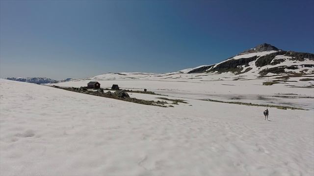 Norway in 3 Minutes | A Road Trip Through Norway (Country) | Stavkirke, Geirangerfjord, Kjeragbolte смотреть онлайн