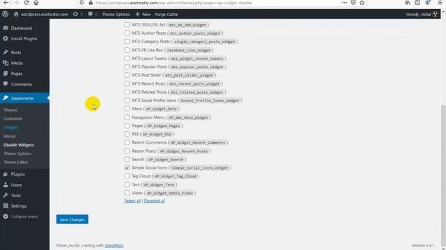How To Remove WordPress Sidebar Widgets In WordPress | Widget Disable Plugin - WordPress Tutorials смотреть онлайн