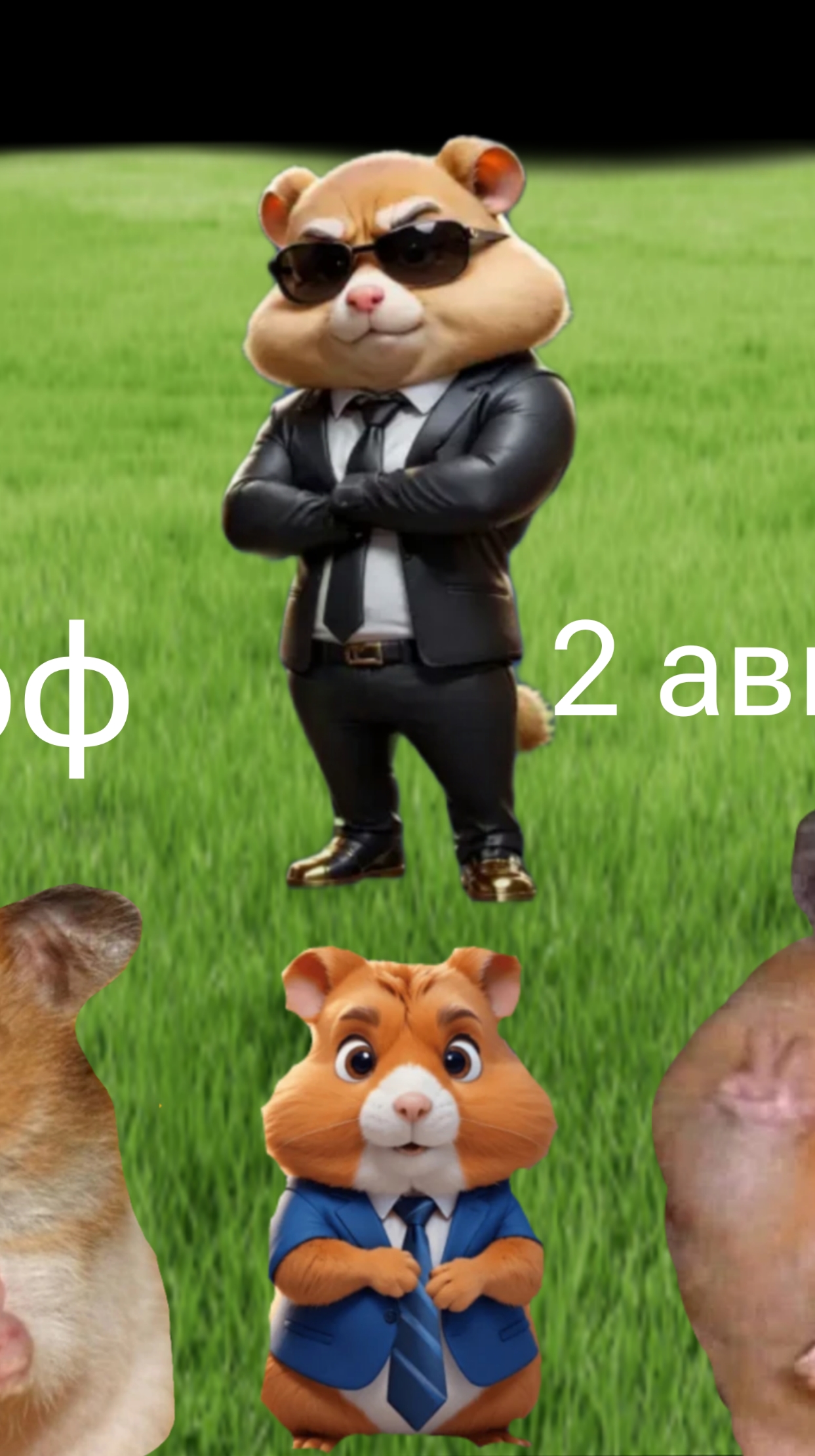 хомяк ШИРФ 2 августа. смотреть онлайн