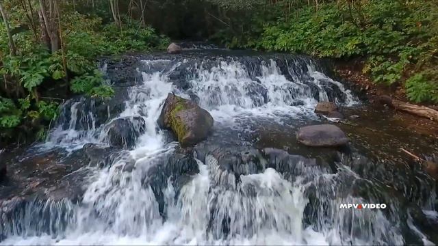 Водопад на реке Чалпа Боровичи / Что посмотреть в Новгородской области смотреть онлайн