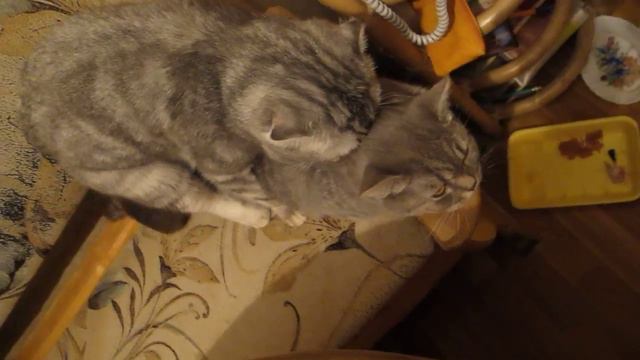 MVI 4787 смотреть онлайн