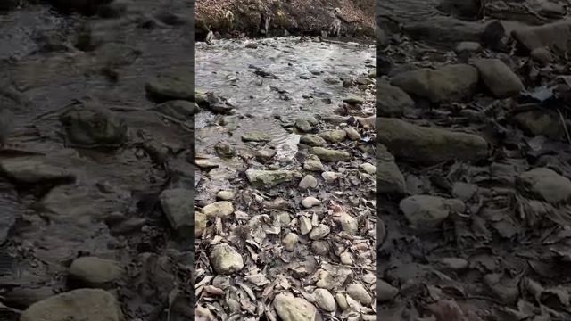 А можно я помолчу ? Мне хочется тишины... смотреть онлайн