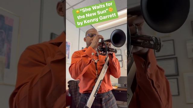 “She Waits for the New Dawn” (Kenny Garrett) melody on cornet смотреть онлайн