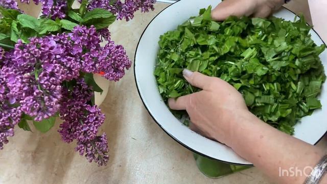 Щавель на зиму.Перша заготовка для борщу.#щавель #відеоукраїнською #заготовканазиму #дача смотреть онлайн