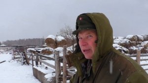 на какой день после течки можно вязать собаку,  Алабай-САО ?