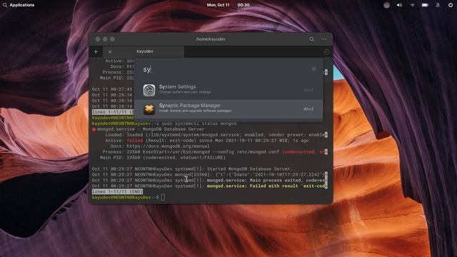 Cara mengatasi Error Active : failed pada mongoDB server смотреть онлайн