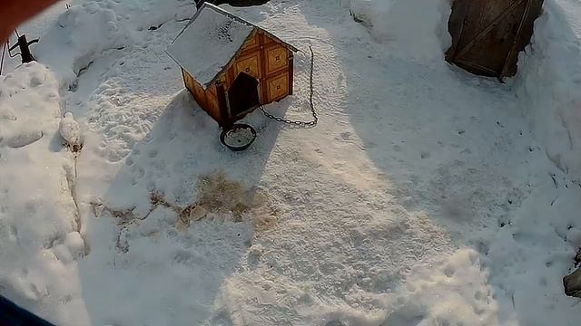 ДЕШЁВАЯ ЭКШН КАМЕРА SJ CAM M20.Хорошее Качество, за свои деньги... СТОИТЬ ЛИ БРАТЬ В 2020 году!!!
