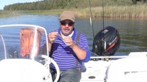 Воблеры минноу. Лучшие воблеры на щуку - принцип подбора.