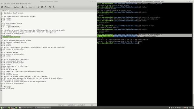 Git Delete local branch #88 смотреть онлайн