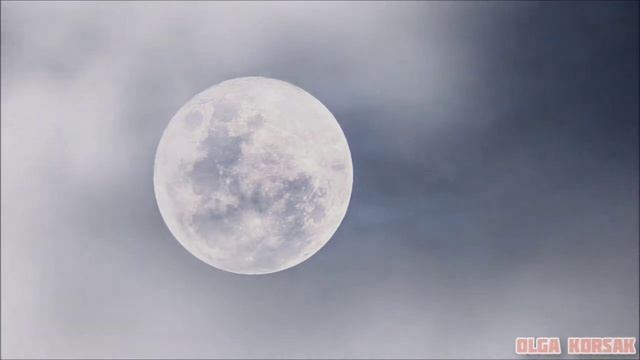 Фамильяры, фетчи, тотем. смотреть онлайн