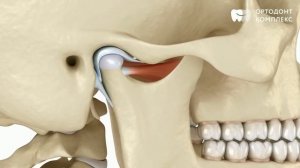 Височно нижнечелюстной сустав
