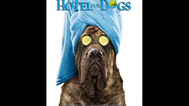 Hotel For Dogs Posters смотреть онлайн