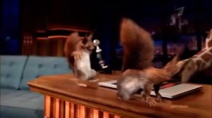 Новогодние заставки Первого Канала жираф и белки в студии Ивана Урганта  2021