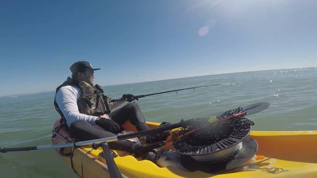 School of Kahawai | Kayak Fishing | DJI mavic mini смотреть онлайн
