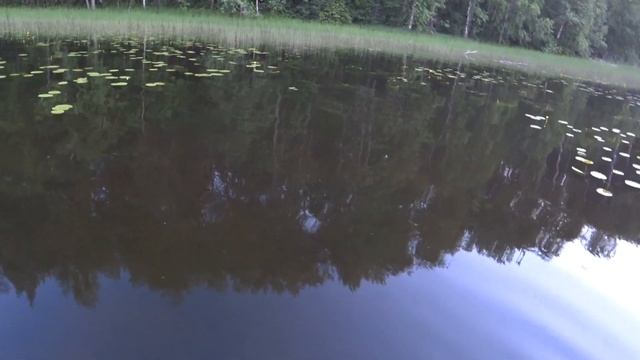 В погоне за травянкой. Мелочь, а приятно и интересно. смотреть онлайн