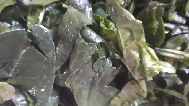 Лёгкий Быстрый Салат из 3 ингредиентов за 5 минут. смотреть онлайн