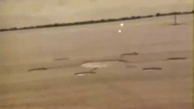 вот как образуются круги на полях смотреть онлайн