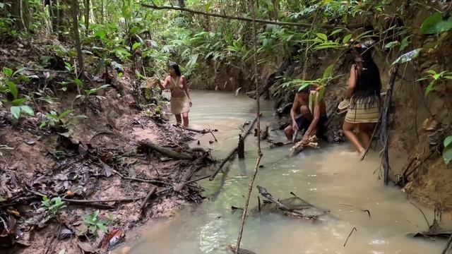 Fishing with Barbasco in Amazon смотреть онлайн