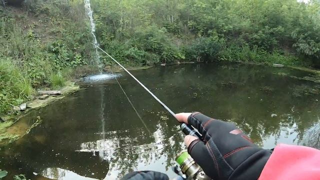 СКОЛЬКО ЖЕ РЫБЫ В ЭТОЙ ЛУЖЕ!!? МОРМЫШИНГ с NEO LINE SOLID! ЩУКА атакует клюнувшего ОКУНЯ! смотреть онлайн