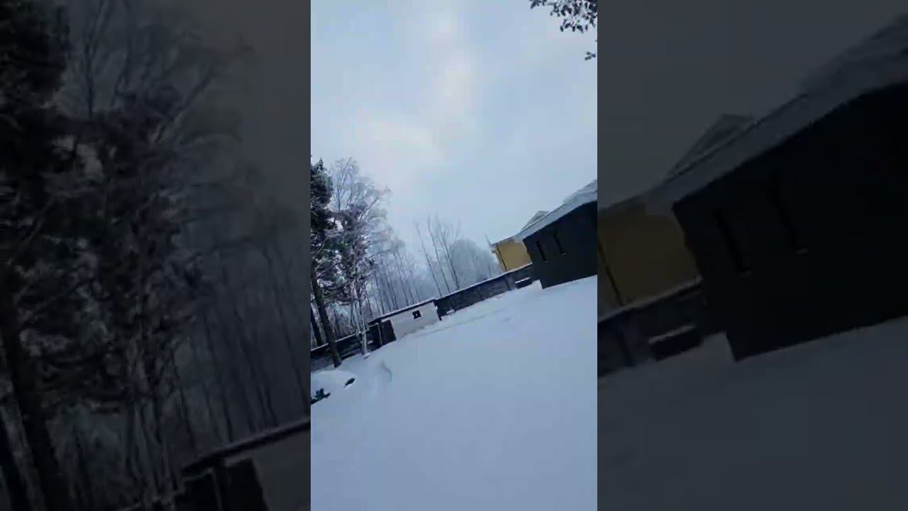 Полетик смотреть онлайн