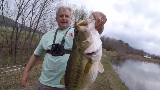 SUPER Effective Bank Fishing Setup! (BIG FISH HAMMER THIS BAIT!!!) смотреть онлайн