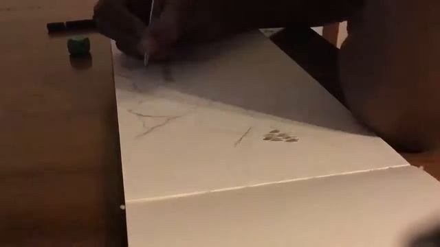 30 Second TIMELAPSE SKETCH!!!!!!!