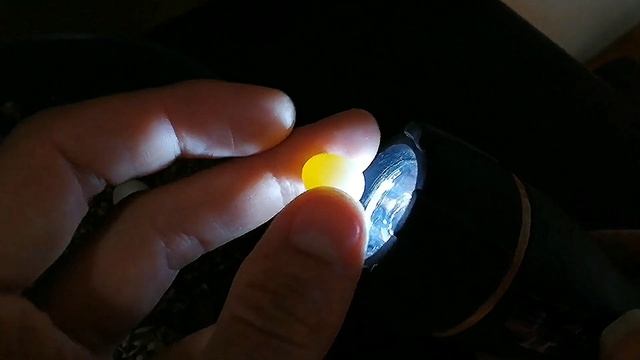 Eggs Candling Development Stages, Aviary Birds in the Bird Gallery смотреть онлайн