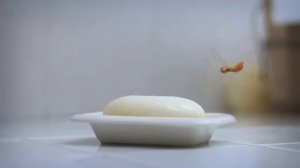 fly and spider Minuscule