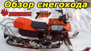 Снегоход Irbis Dingo T150, обзор и тест-драйв в глубоком снегу. Ирбис Динго.